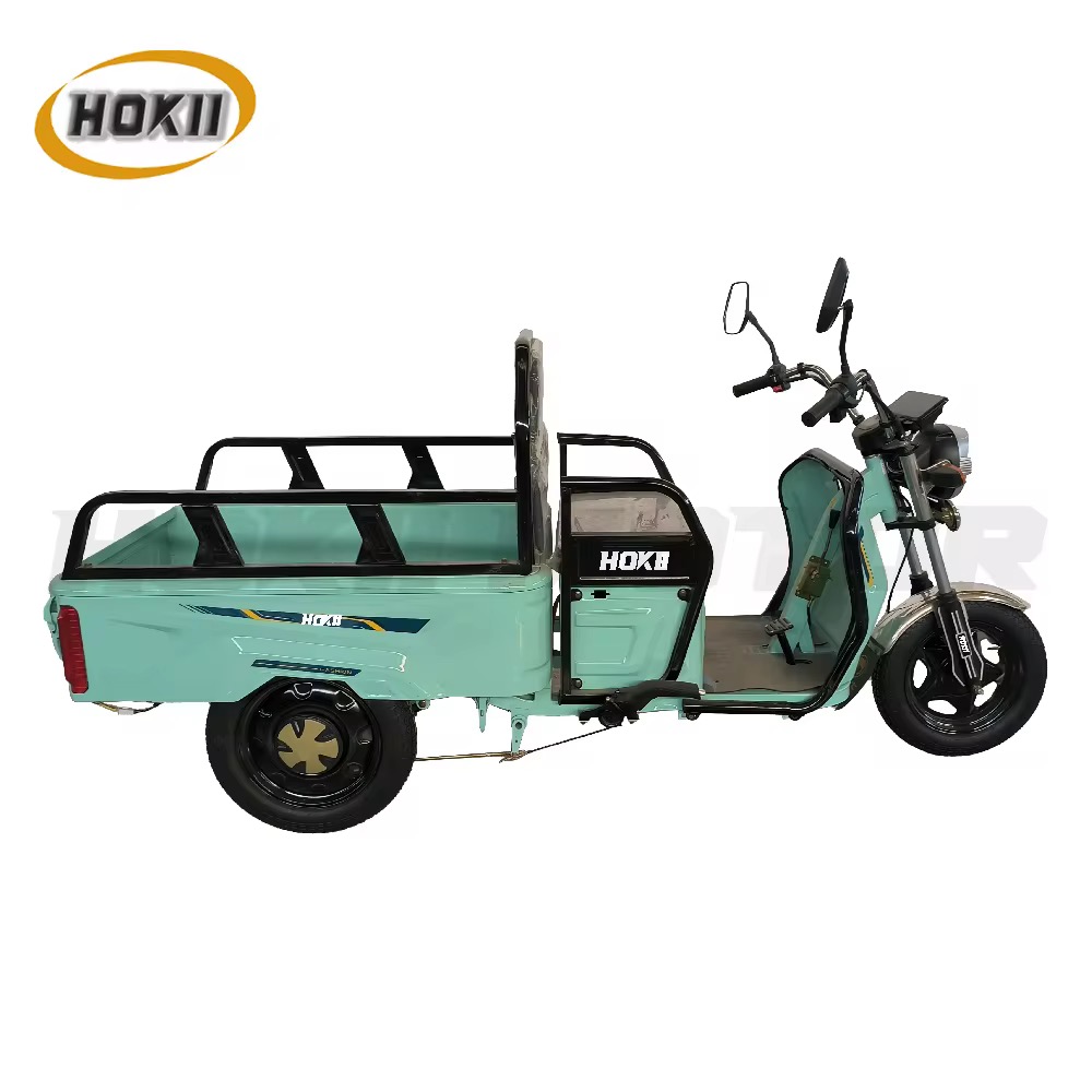 Tricycle Cargo Électrique HOKII – Véhicule Utilitaire 3 Roues – Transport de Marchandises et Colis